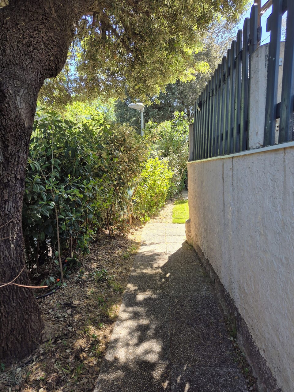 Property grounds