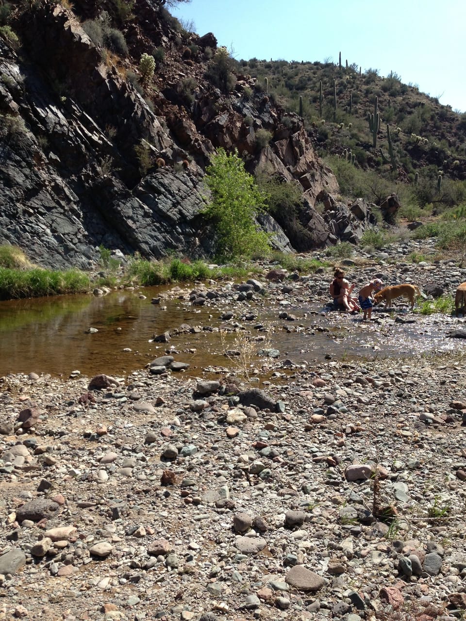 Cave Creek, last free flowing creek in Maricopa County.
