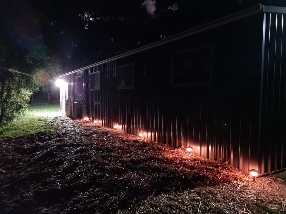 Night time arrivals