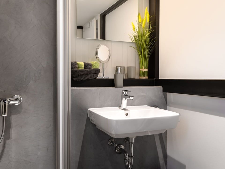Tap, Mirror, Sink, Plumbing Fixture, Bathroom Sink, Plant, Bathroom, Interior Design, Building, Architecture
