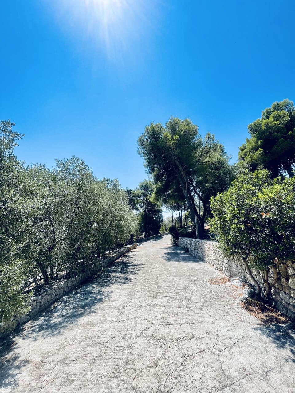 Accesso alla Villa