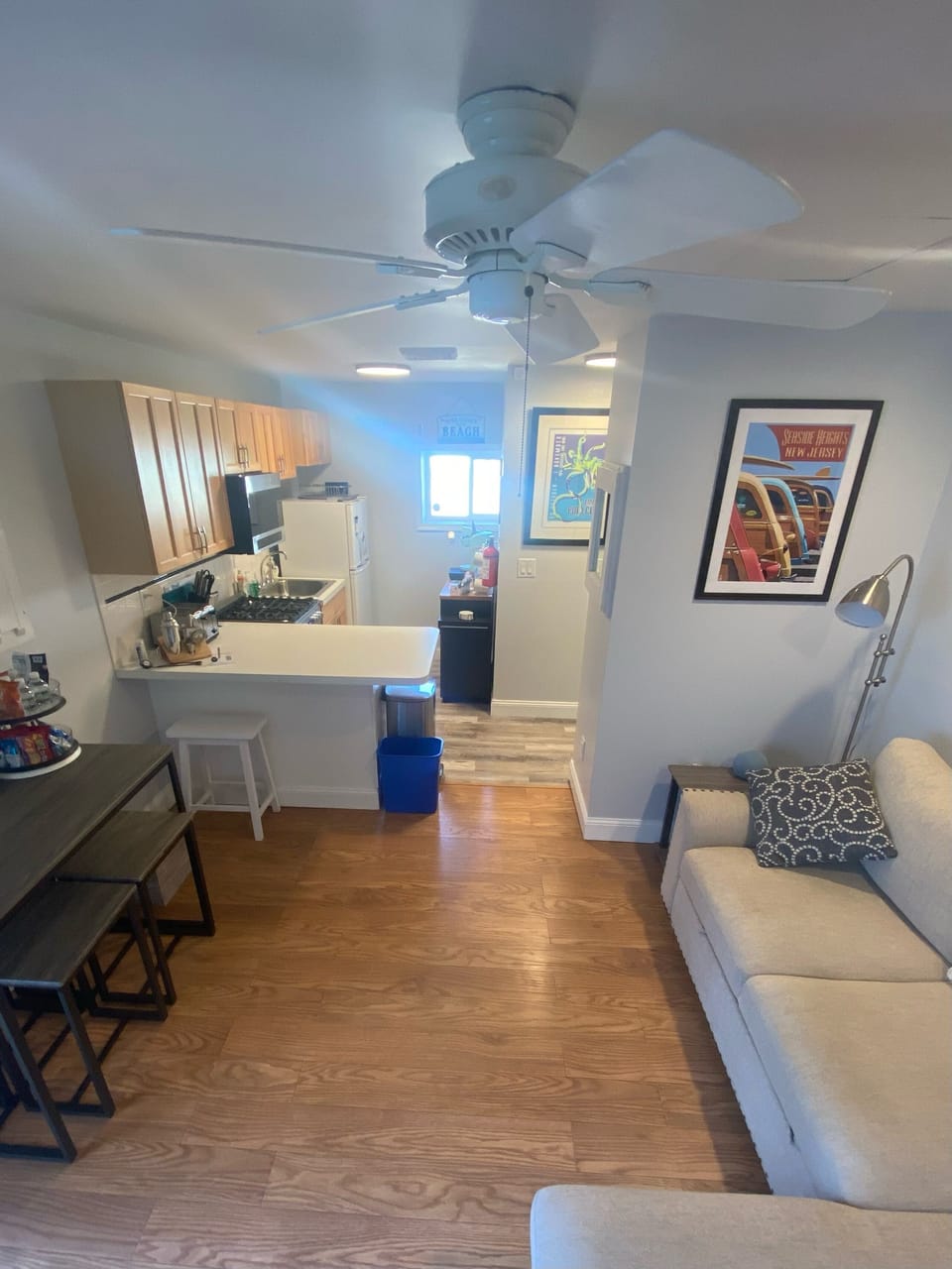 Looking into the kitchen, with Queen pull out sofa to the right.