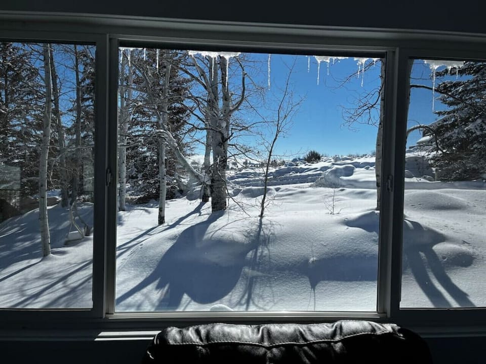 View of yard during winter