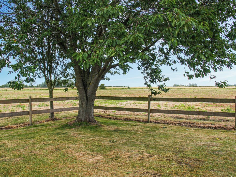 Garden | Willows Barn, Terrington St Clements, near King&rsquo;s Lynn