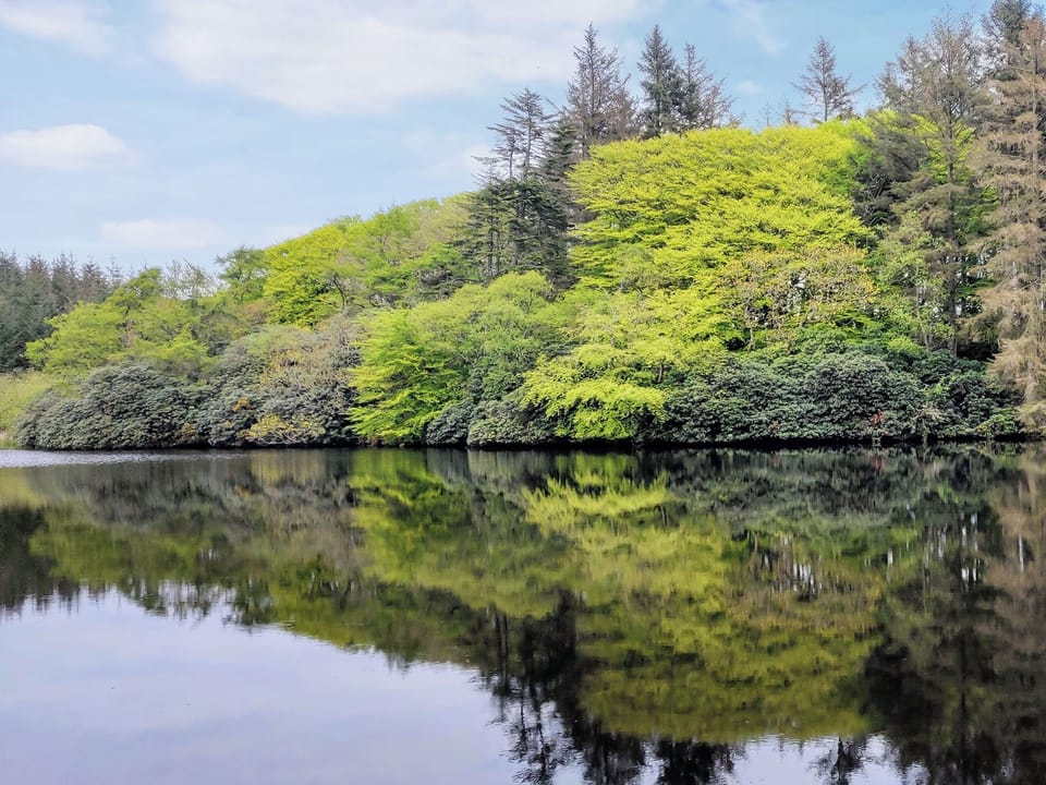 Surrounding area | Rose Blair Lodge - Dunskey Estate, Portpatrick, near Stranraer