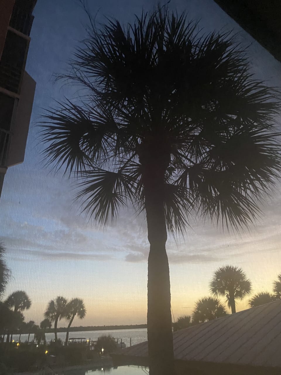View from property