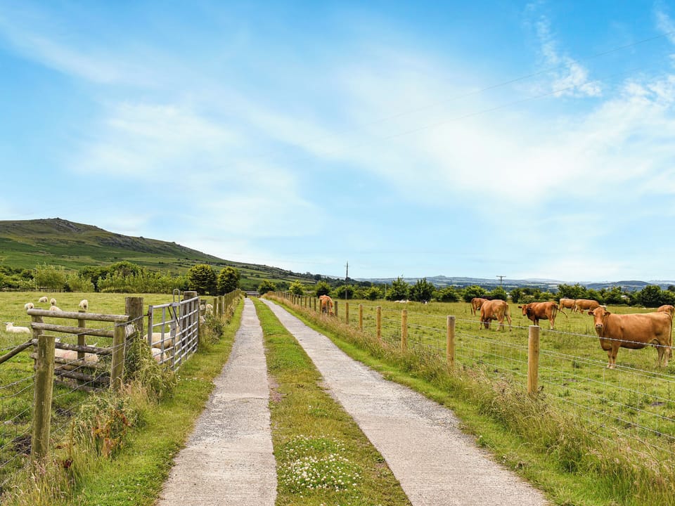 Surrounding area | Little Fern, Sourton Down, near Okehampton