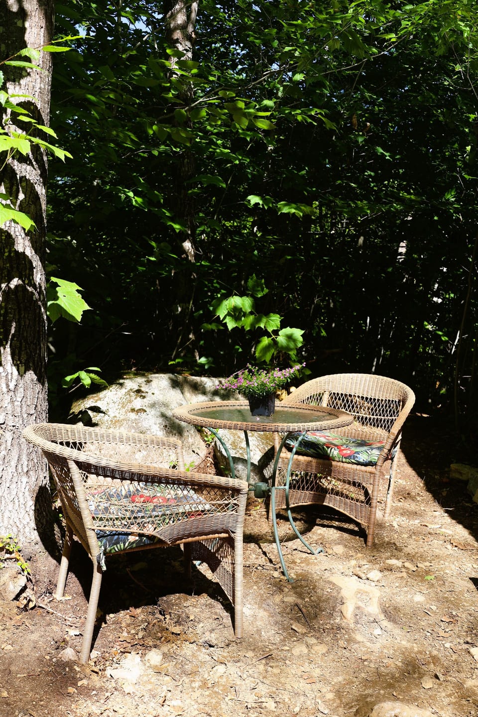 Outside table right beside the cabin.