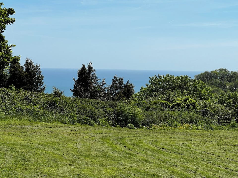 Surrounding area | Wonkey Donkey Cottage, Weston, near Sidmouth
