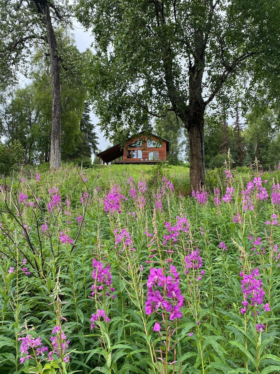 Summer and fall are abundant with plants & wildlife.