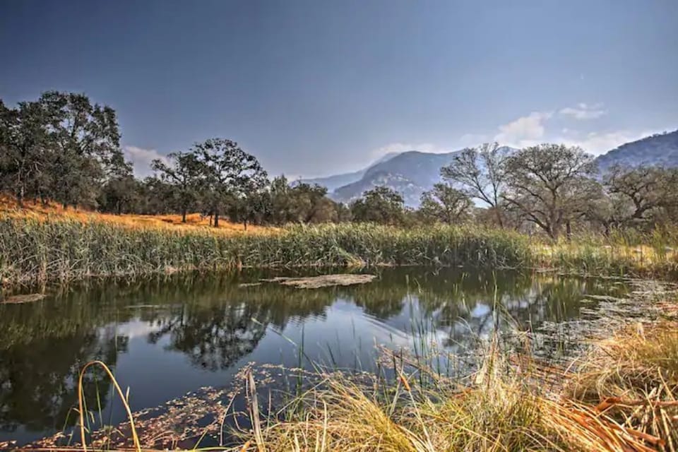 You can walk or drive to this pond with fish.