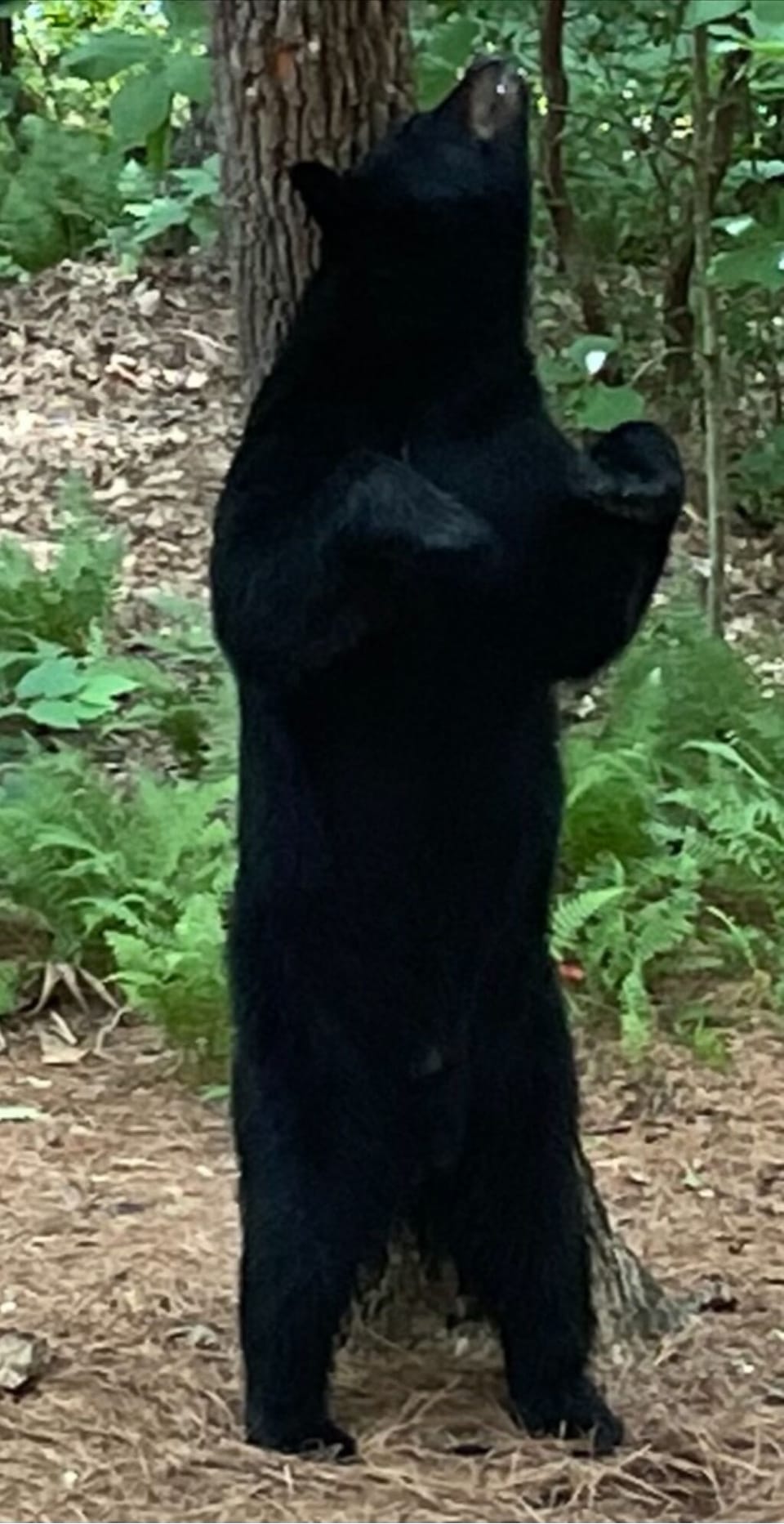 One of our neighbors