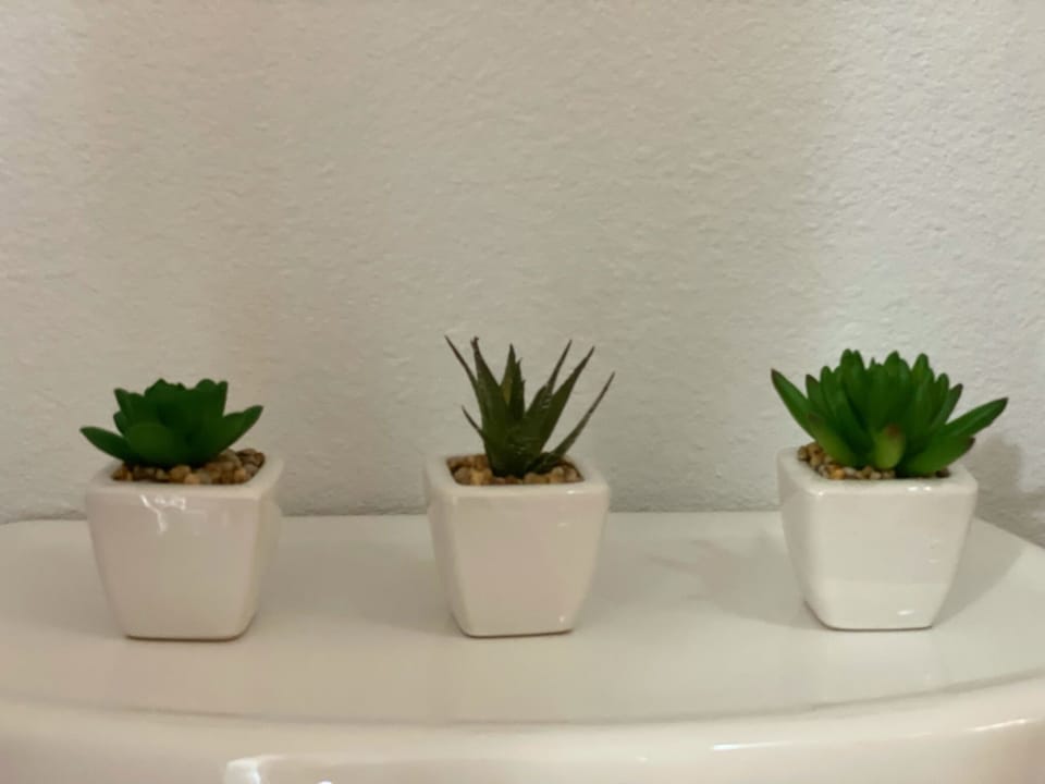 Decor