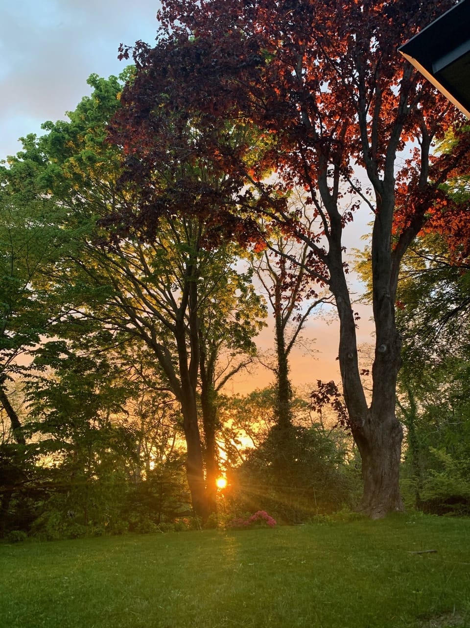 Backyard sunset
