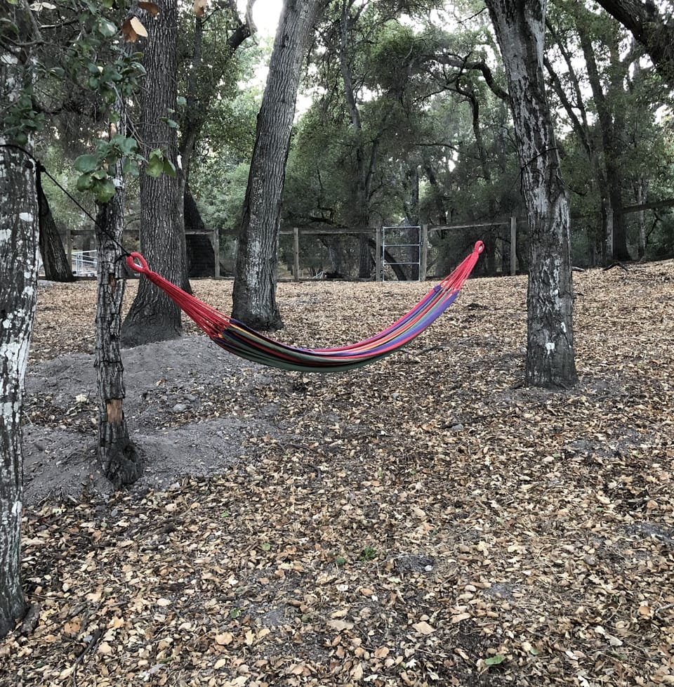 Your own private Idaho…hammock
in back yard 