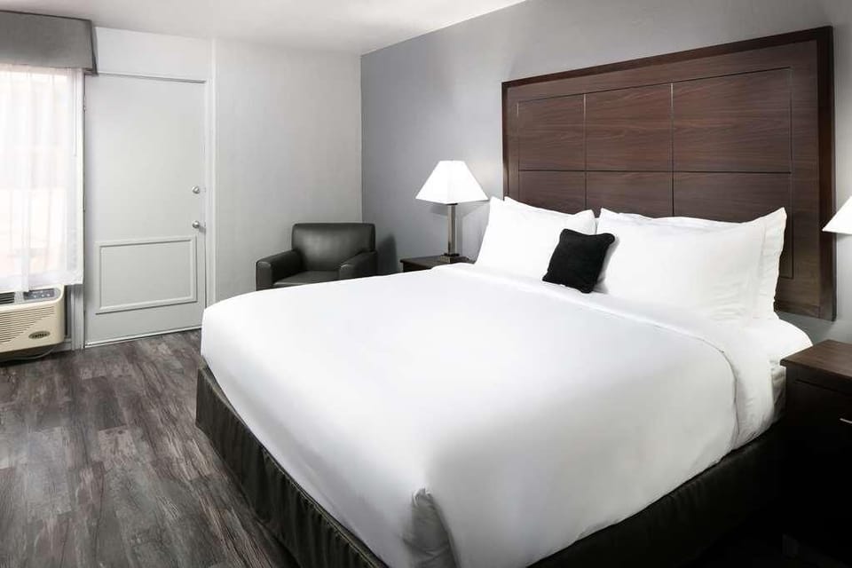 Recharge in a calm room with seating and soft daylight.