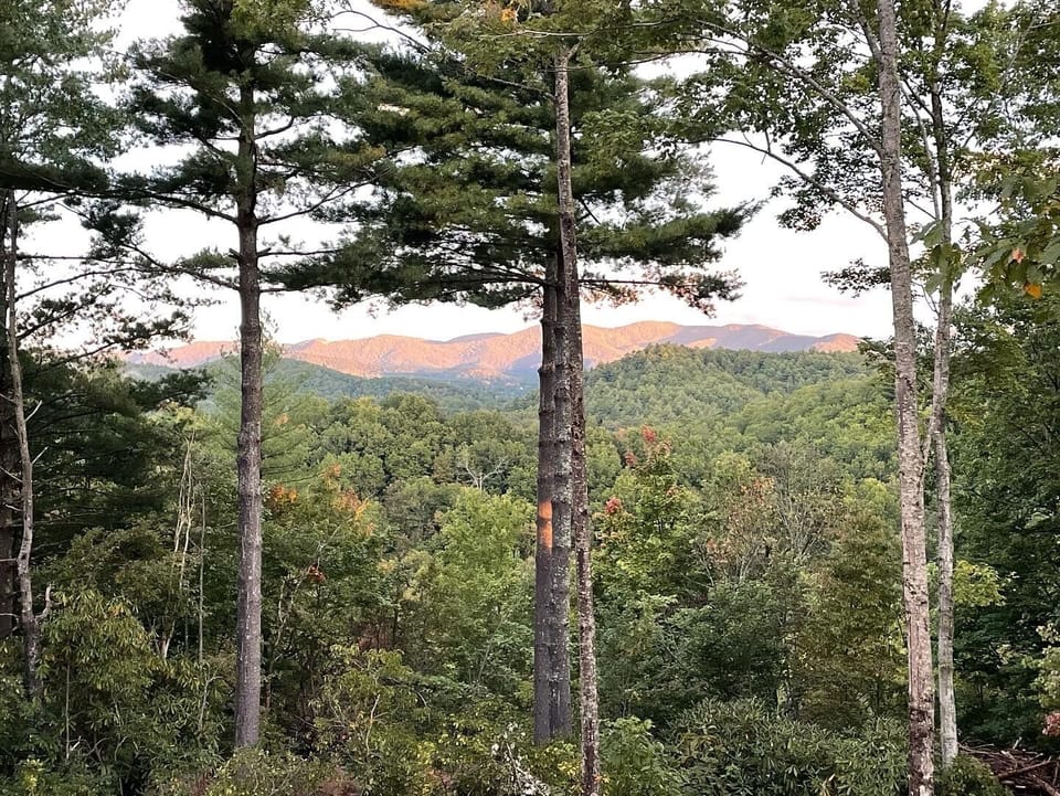 Views from the other side of house and deck