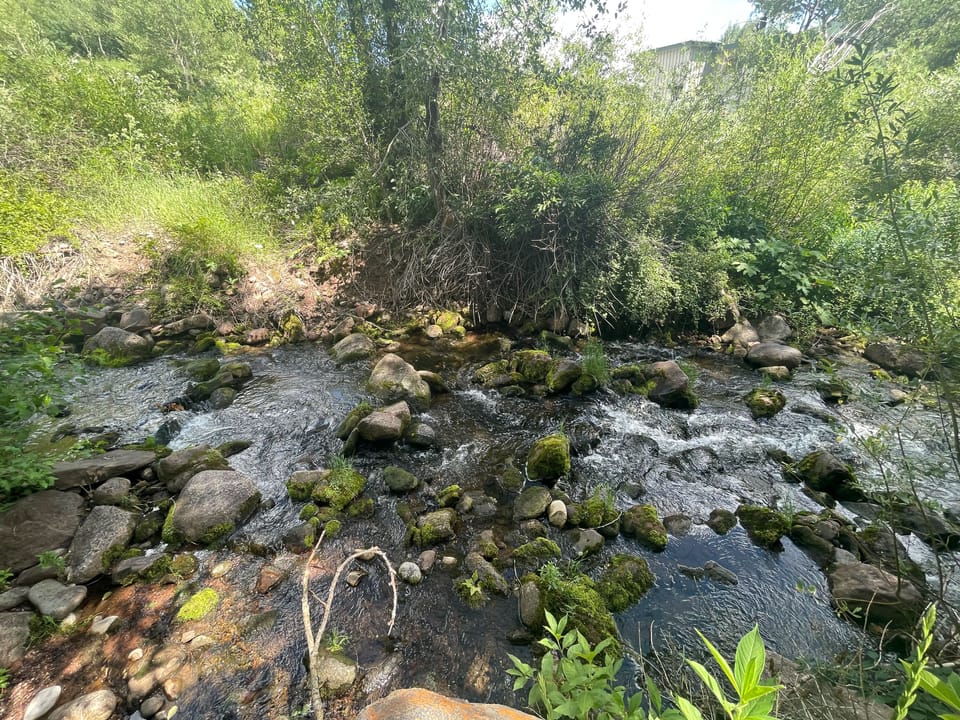 Go hiking and enjoy nature