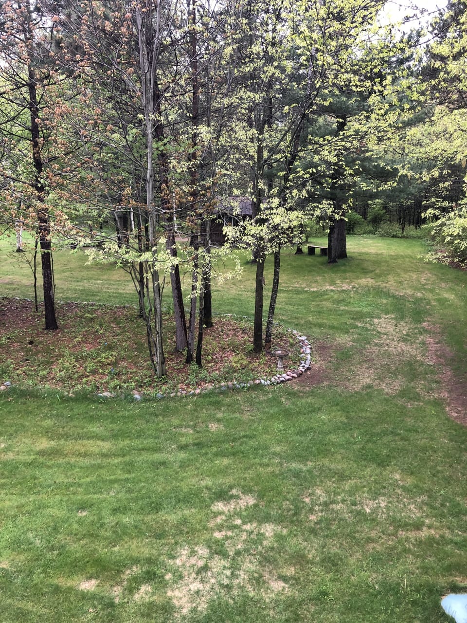 Backyard view from porch