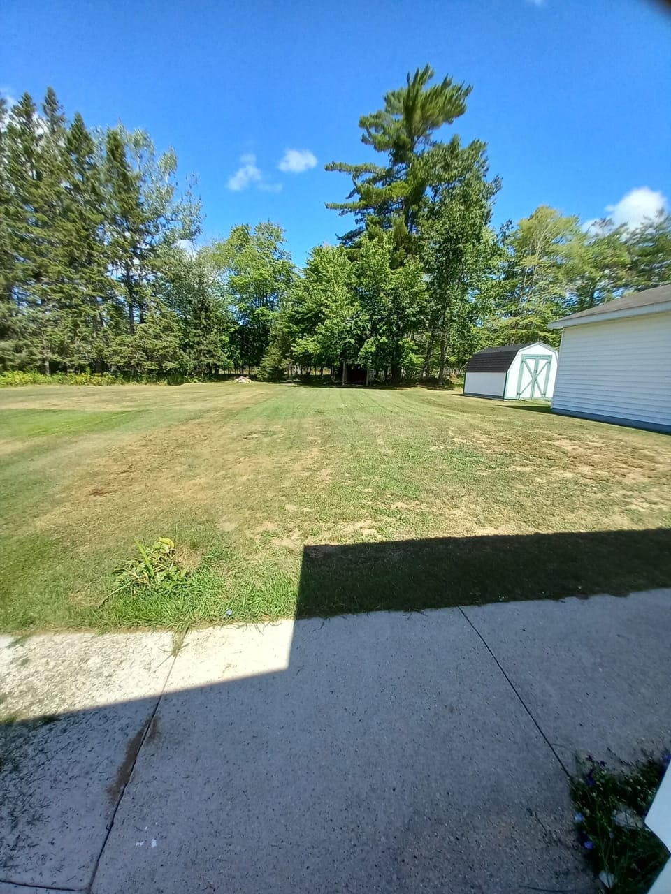  large yard
