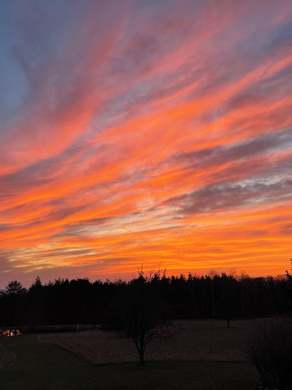 June 2023 Sunset on Emerson Road
