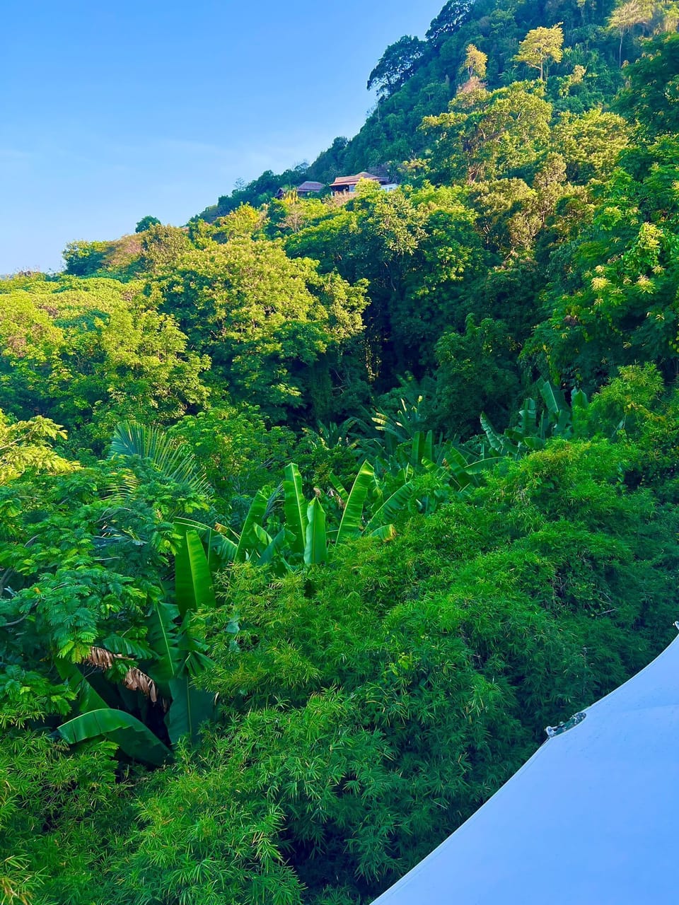 Andaman Hills - panoramic sea view house with maid (10218)