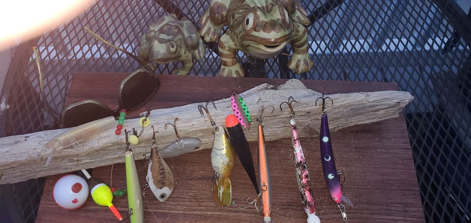 Treasures found on the beach. 