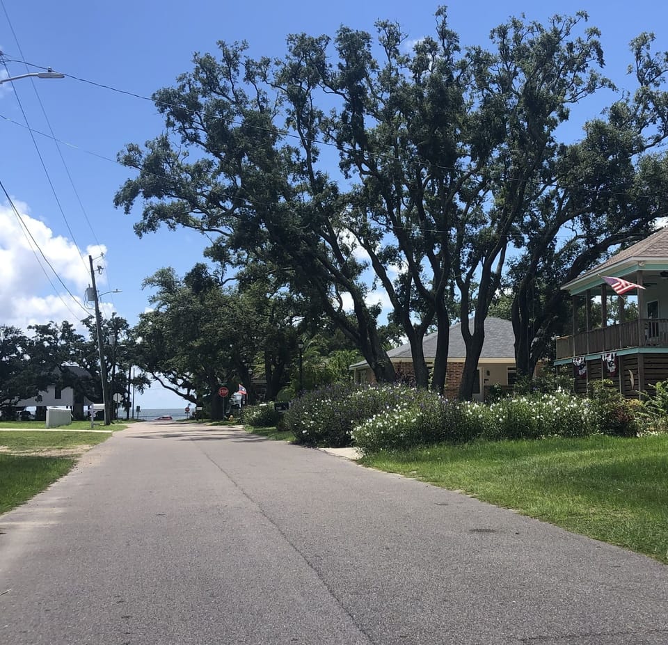 Just steps down treelined street to beach!
