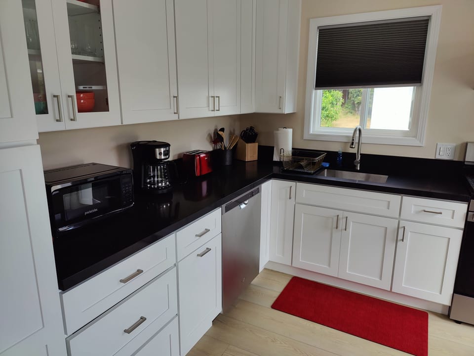 kitchen and dishwasher