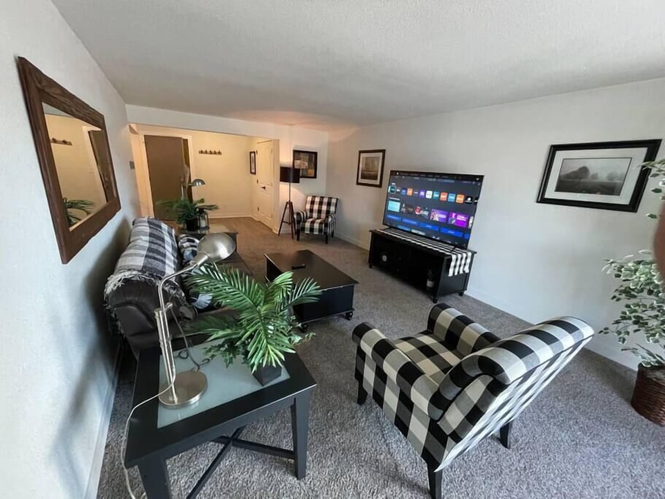 Living Room with new 65' HDTV