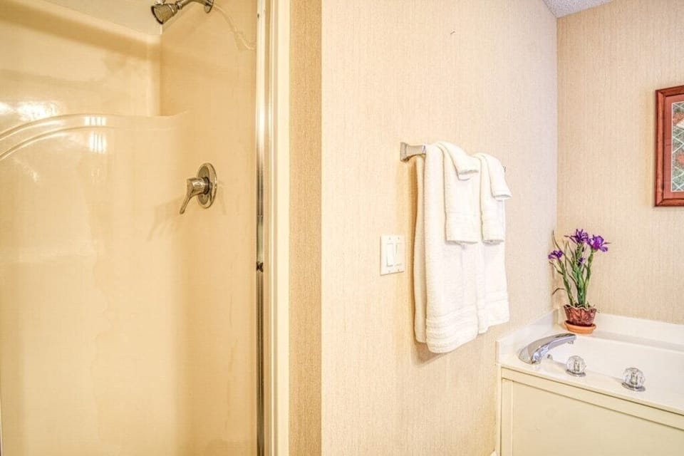 Walk in Shower and Soaking Tub in Master Bath
