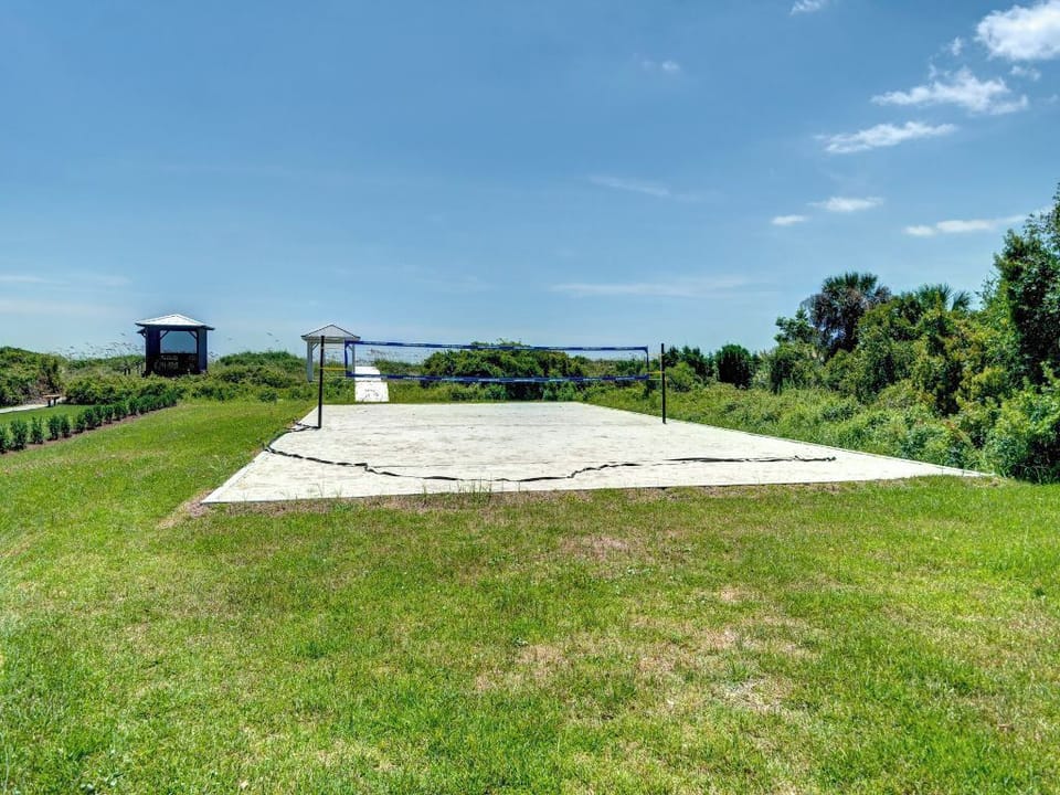 Volleyball Court