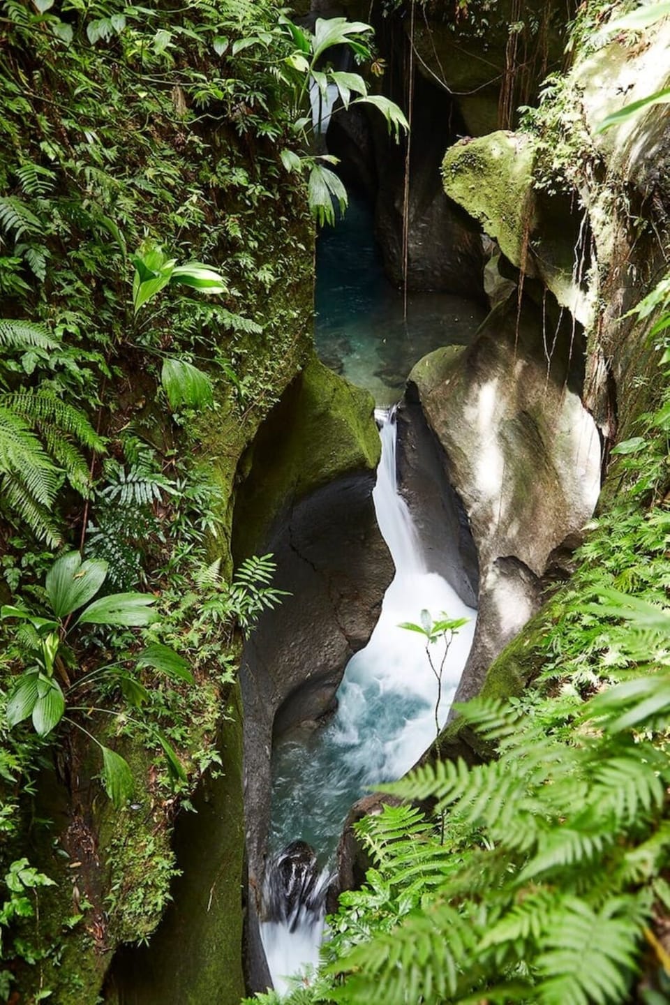Nearby site: Titou Gorge (20 min. drive)