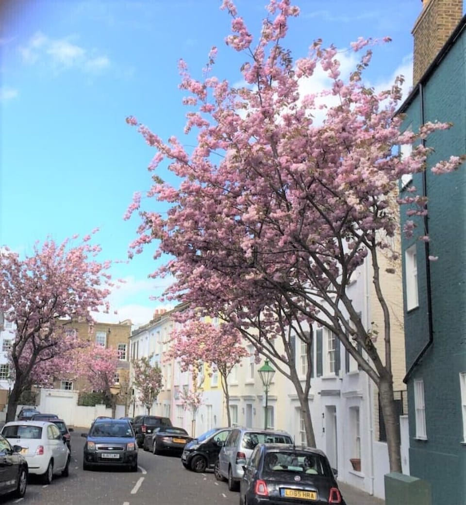 Located in a Quiet, leafy, village like residential area