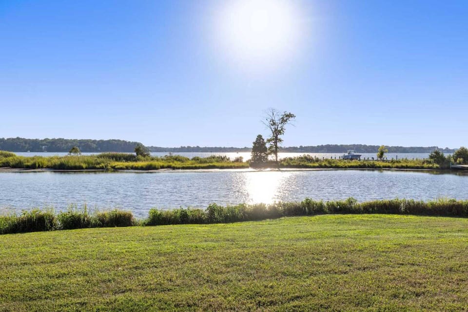 Take the kayaks out for a morning ride on the serene South River.