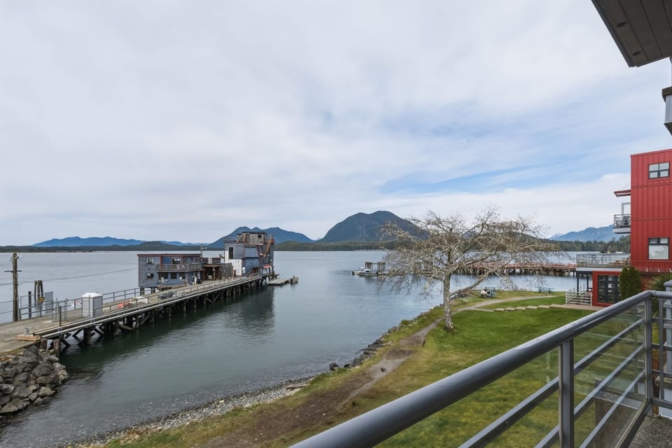 View from patio