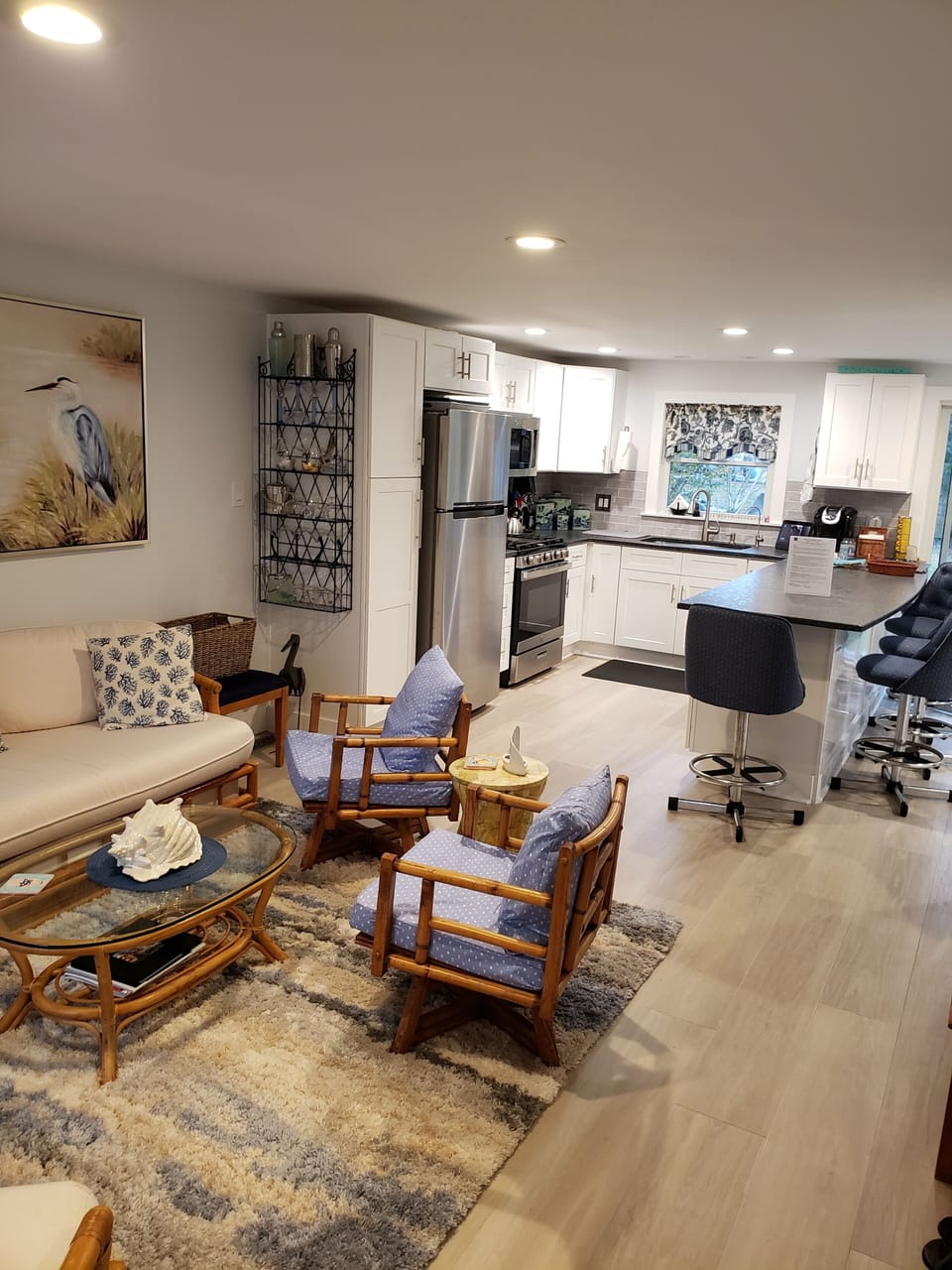 Living Room / Kitchen Area