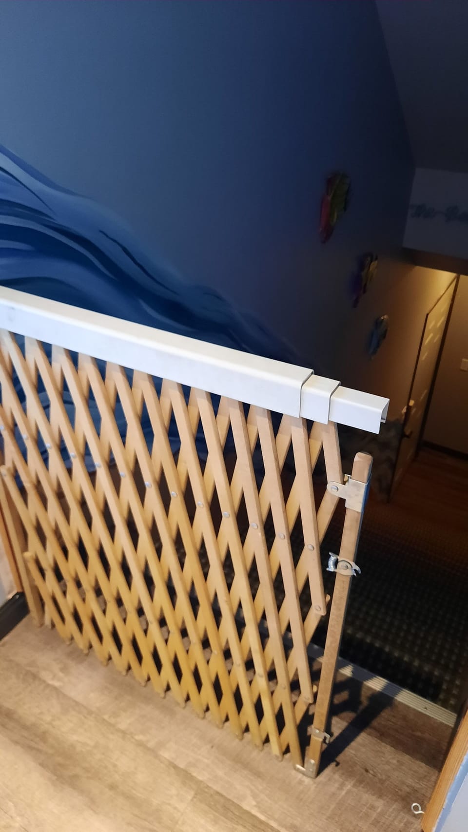 Baby gate for protection for staircase