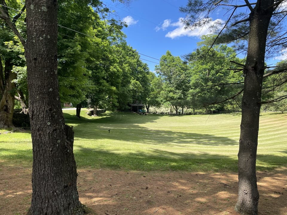 Front Lawn