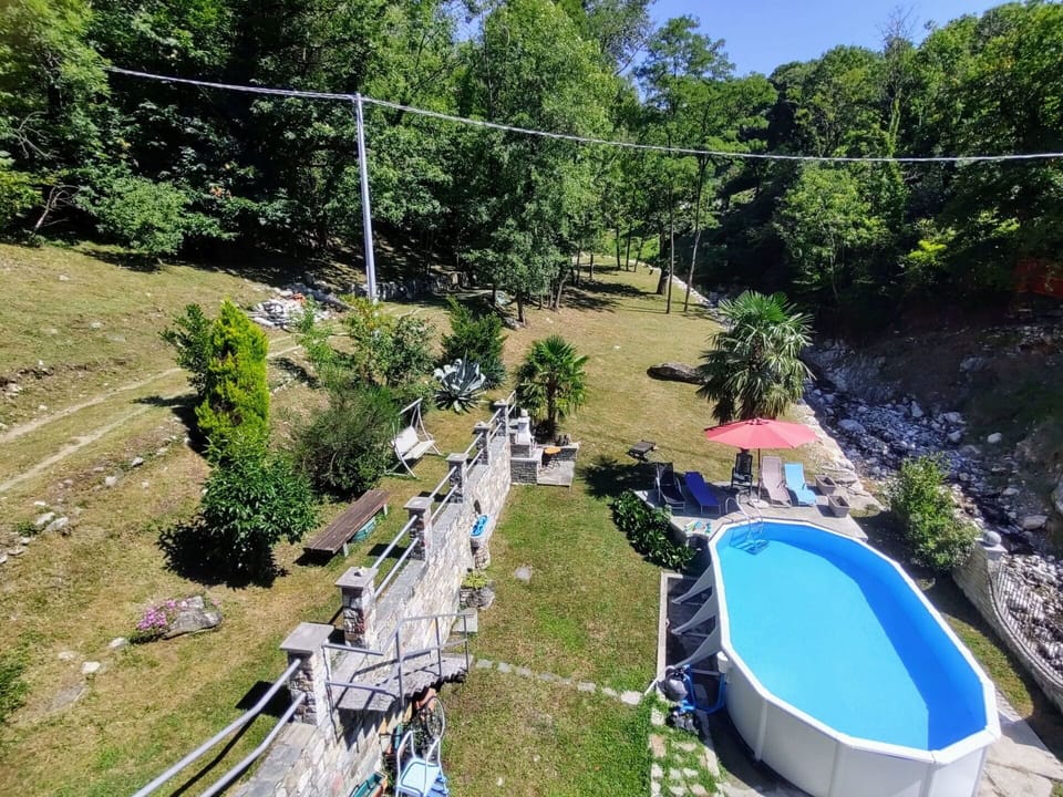 Plant, Water, Swimming Pool, Tree, Biome, Leisure, Urban Design, Recreation, Landscape, Real Estate
