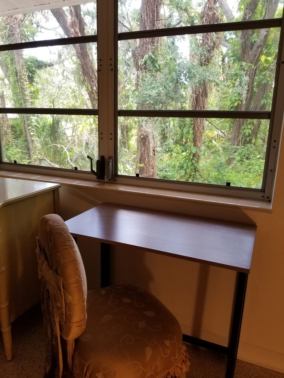 Jungle view while working