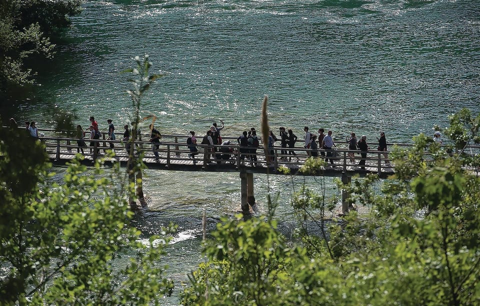 area