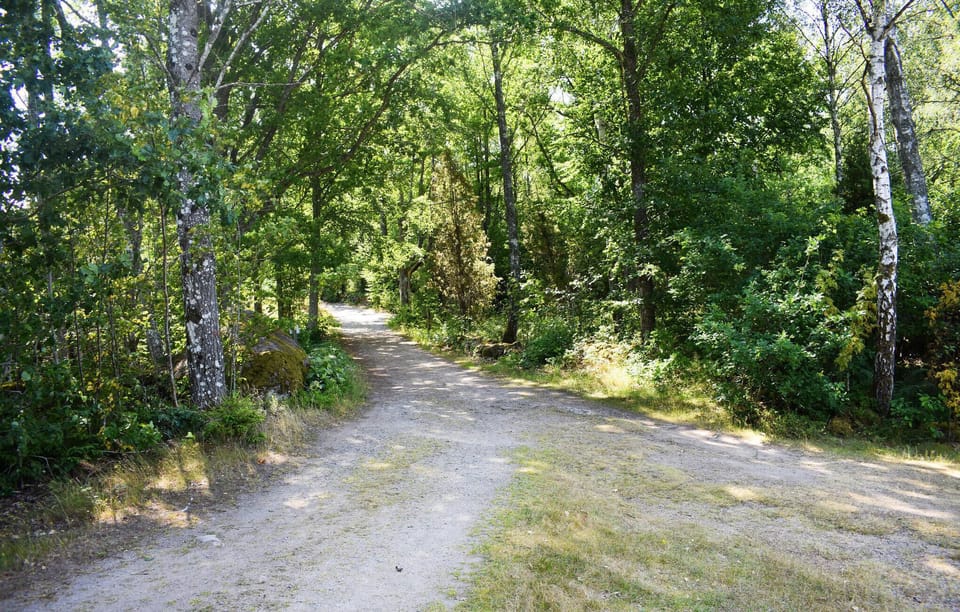 area