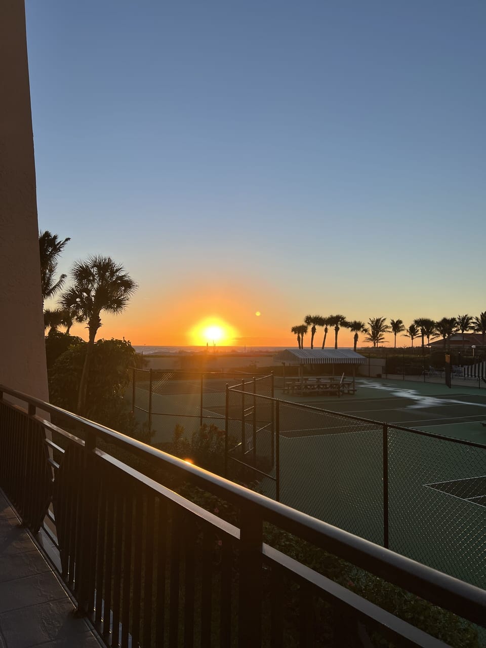 Sport court