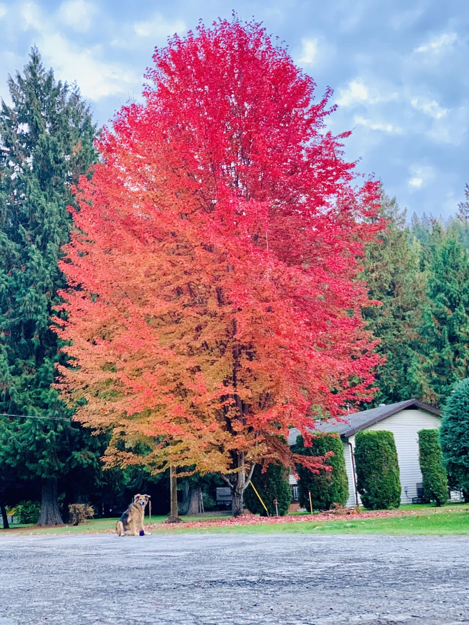 Fall beauty.