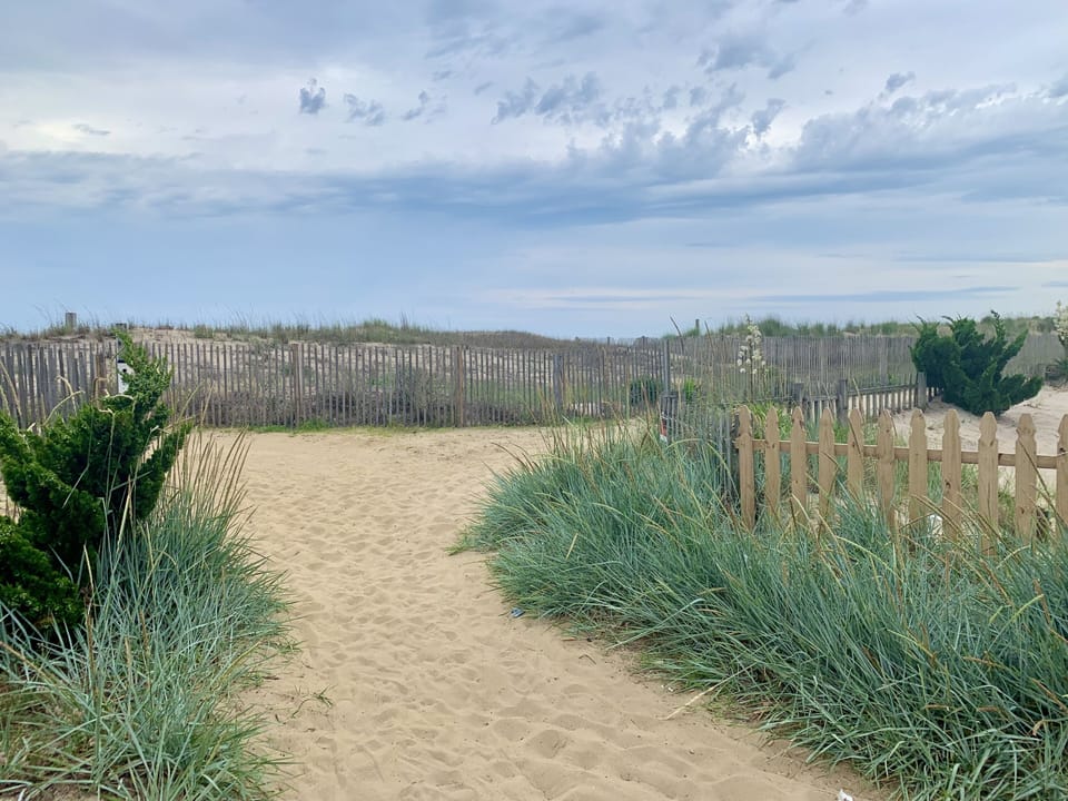 Path to the beach