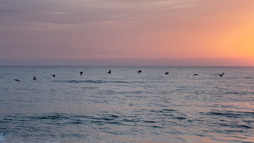 Breakfast time at Ormond.
