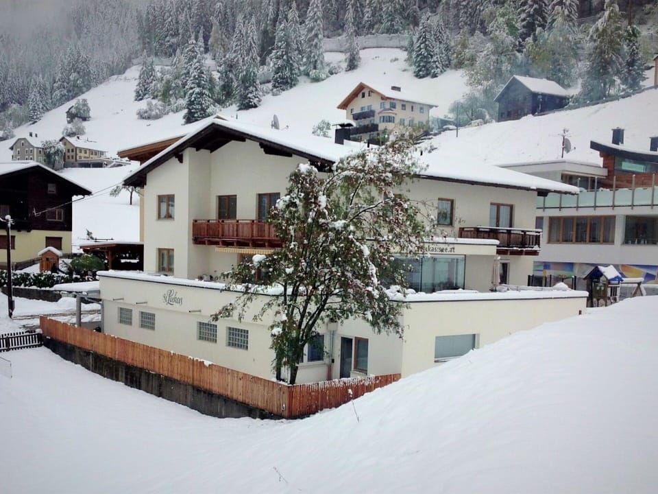 Snow, Building, Plant, Window, Slope, House, Freezing, Tree, Residential Area, Landscape
