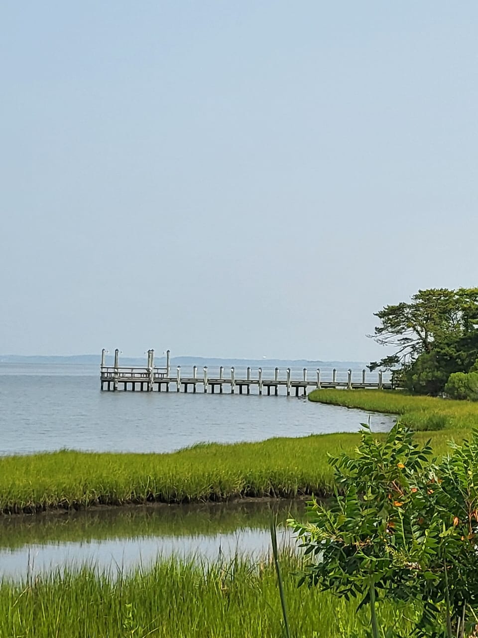 Fishing and crabbing pier