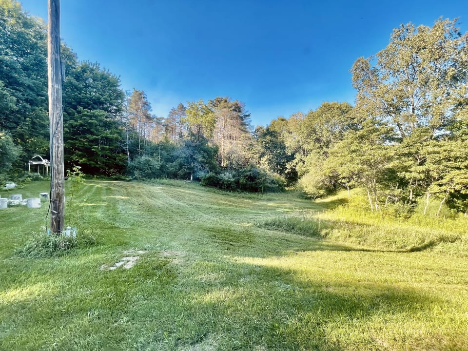 View from the back window